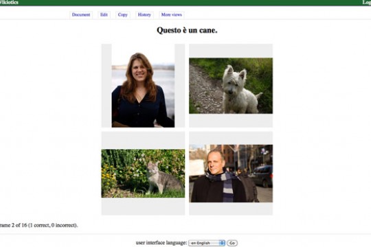 Picture of Wikiotics webpage