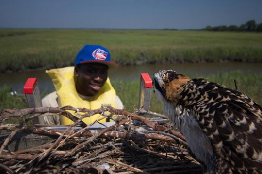 Person looking at bird up close
