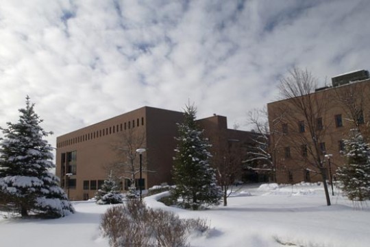 Snow covered ground and trees in front of brick buildings