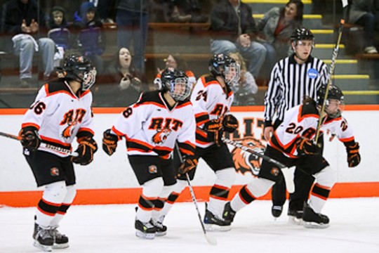 Picture of Hockey players during game