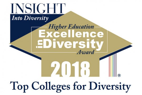 Logo for the "Top Colleges for Diversity" 2018 Award. 