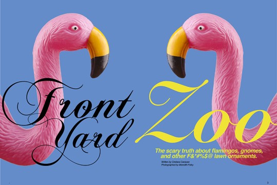 The cover  of the magazine featuring two plastic flamingos looking at each other