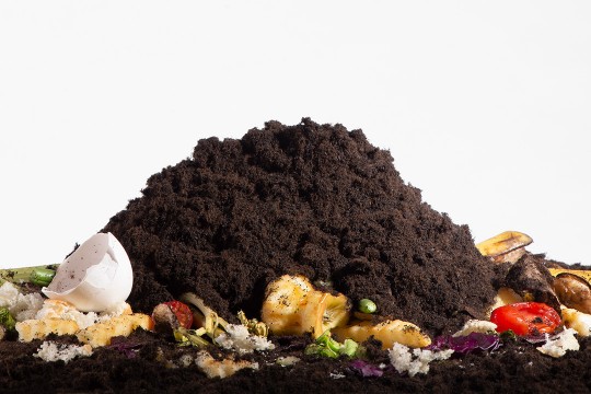 Food scraps and pile of dirt.