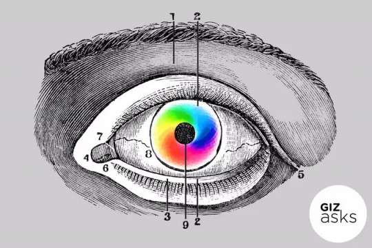Drawing of eye with text: Giz asks.