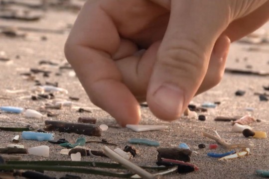 Close-up of hand picking up small pieces of plastic.