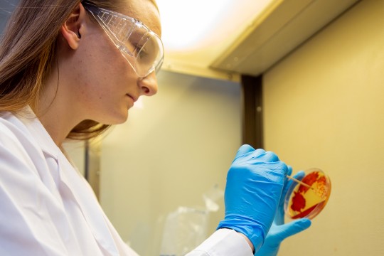 female student working in biotechnology lab