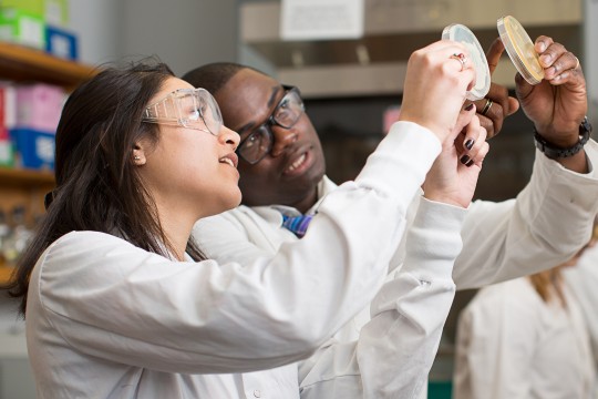 female student working with professor in biotechnology lab