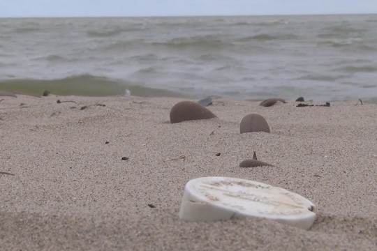 plastic lid stuck in the sand on a beach.