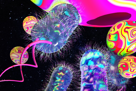 Vivid illustration of magnetic bead device developed to isolate E. coli bacteria