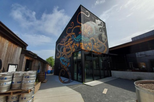 A mural of a kraken on a 2-story brewery building