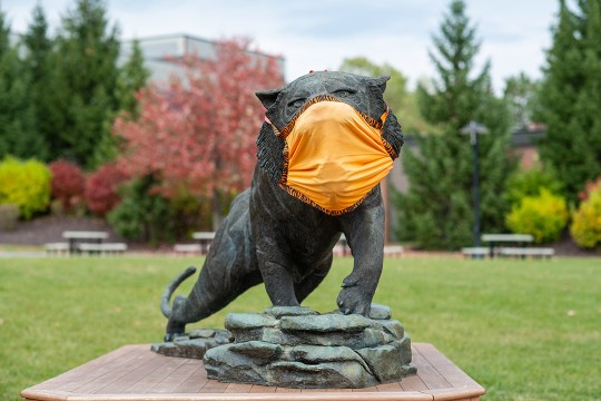 tiger statue wearing an orange cloth face mask.