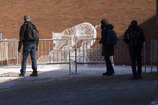 students walking outside next to an ice sculpture of a tiger.