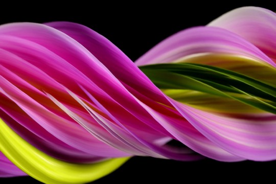 slit-scan image of a flower that looks like a twist of layers of pink, yellow and green.