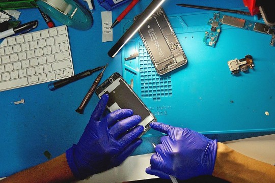 person wearing rubber gloves taking apart an iPhone.