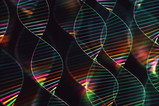 illustration of the twisted double helix of D N A strands.