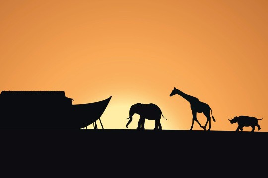 black silhouette of an elephant, giraffe, and rhino walking toward a boat.
