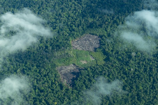 an arial photo of the amazon shows a large amount of deforestation