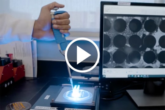 A researcher using a camera on small tubes, in a lab setting.
