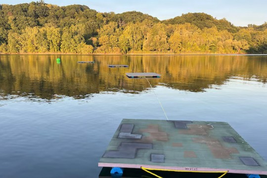 a lake is surrounded by trees with multiple platforms sitting in the water.