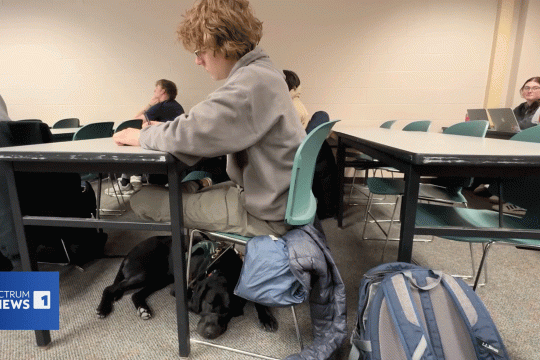 a black dog naps under a desk being used by a student in a college classroom.