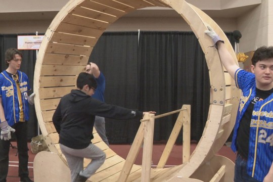 two adult volunteers hold the sides of a human sized hamster wheel as a young boy steps on to it