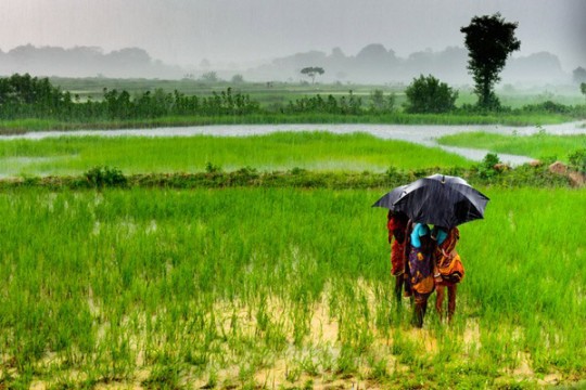 people huddle under an umbrella in an overflowing field