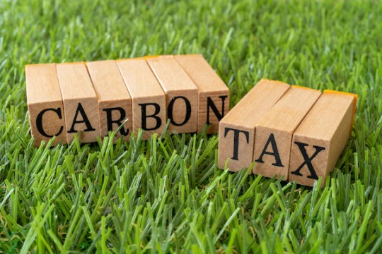 wooden blocks with letters spelling 'carbon tax' sit on the grass