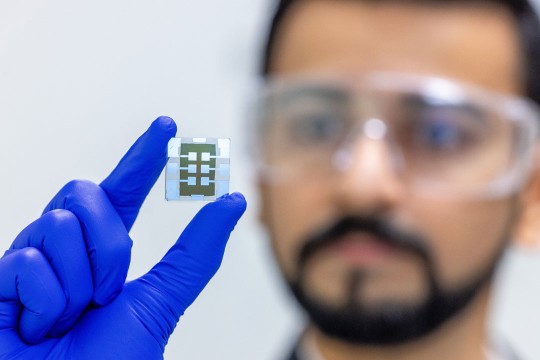 'A man holds a solar cell in a blue gloved hand.'