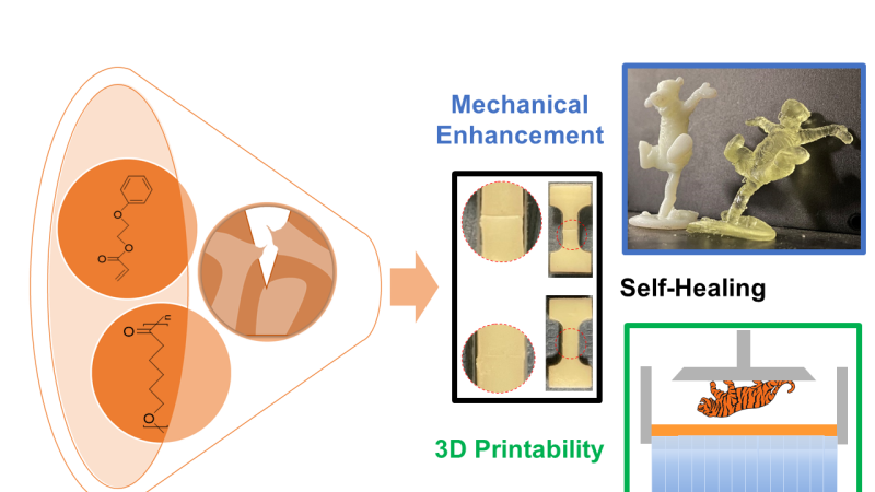 A diagram showing the research.