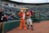 Tiger mascot and Red Wings mascot.