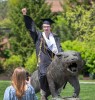 college student wearing graduation regalia riding a tiger statue with his arm raised in the air.
