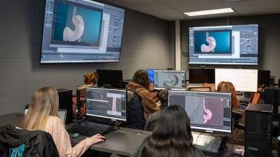 students in a computer lab working on models of the stomach.