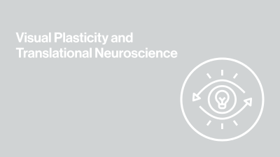 gray background image with icon an eye and text that says visual plasticity and translational neuroscience