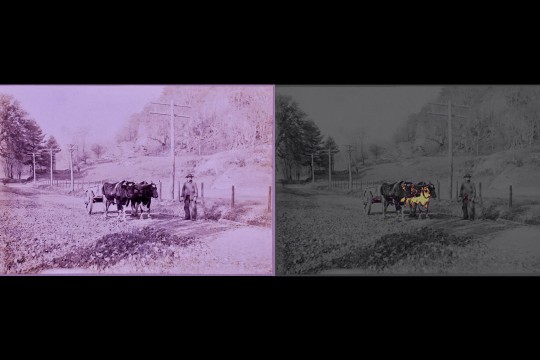 A silver gelatin print is shown in standard illumination on the left and with a yellow mask overlay on the right, highlighting regions affected by silver mirroring. 