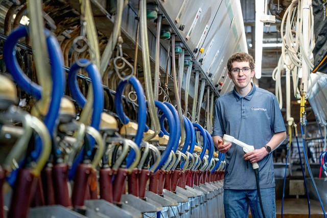 Person in a dairy milking parlor holding a milking hose.