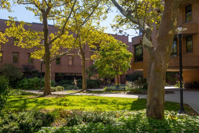 a shady and peaceful area with a bench is shown on the R I T campus
