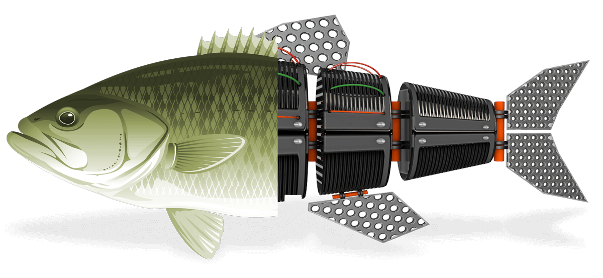 Graphic of the robofish