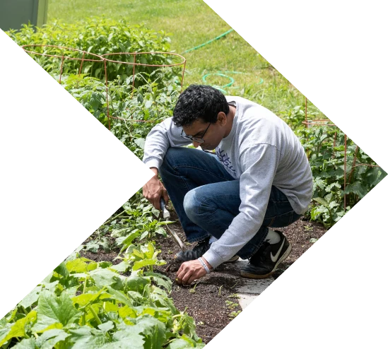 RIT’s Community Garden: Where Sustainability and Education Take Root