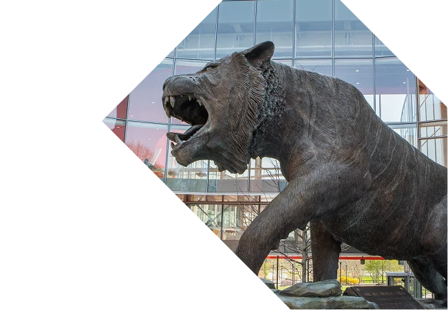 People using pipettes in a lab