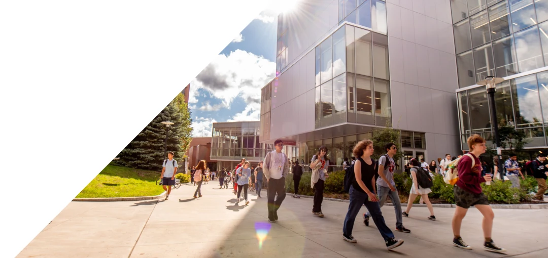 Students walking outside on a sunny day
