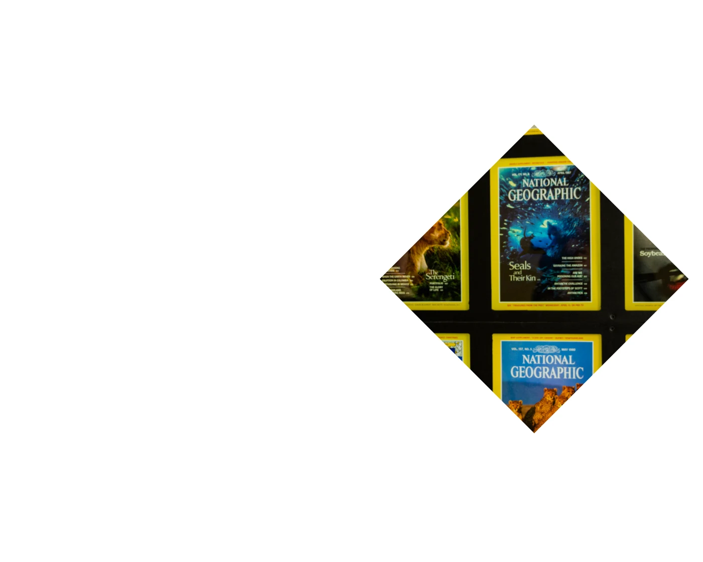 Two people pointing at something off screen