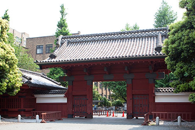 Picture of Red gateway