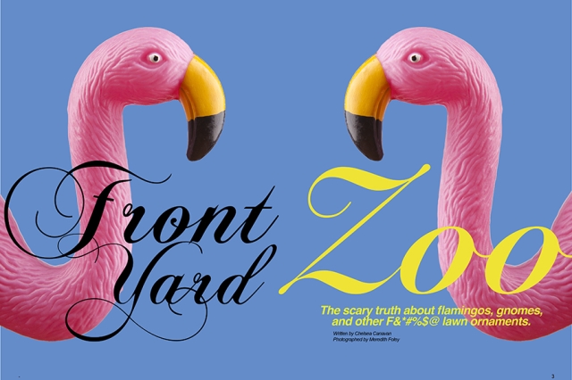 The cover  of the magazine featuring two plastic flamingos looking at each other