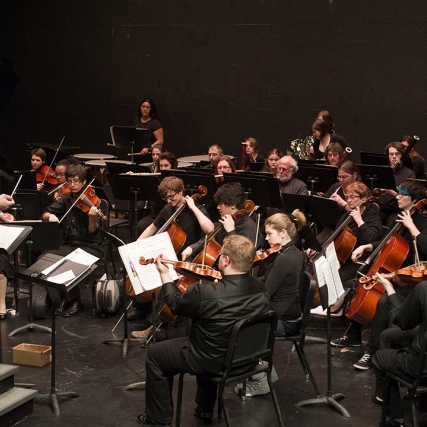 strings and woodwinds section of an orchestra.