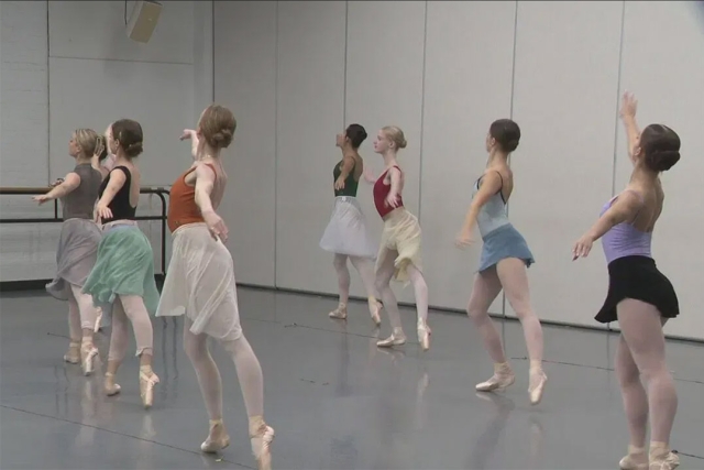 seven ballerinas in two lines practicing a dance move.