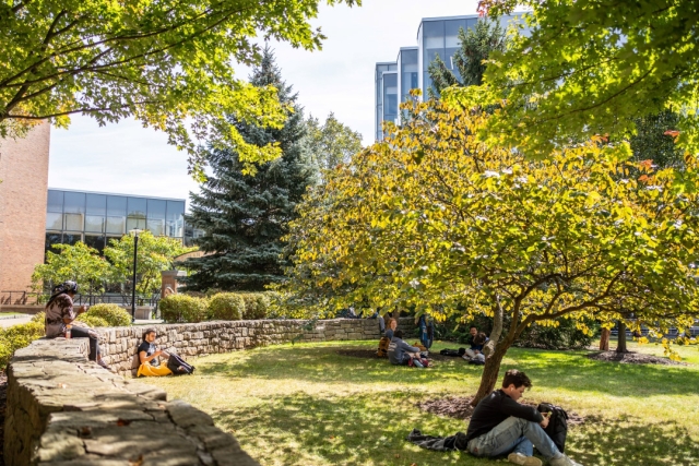 students mingle in a grassy area of campus featuring a rock wall and a few trees.
