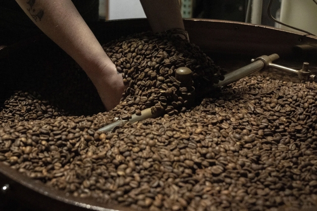 hands lift coffee beans from the cooling tray of a roasting machine at Fuego Coffee Roasters roasting facility in Rochester, N.Y.