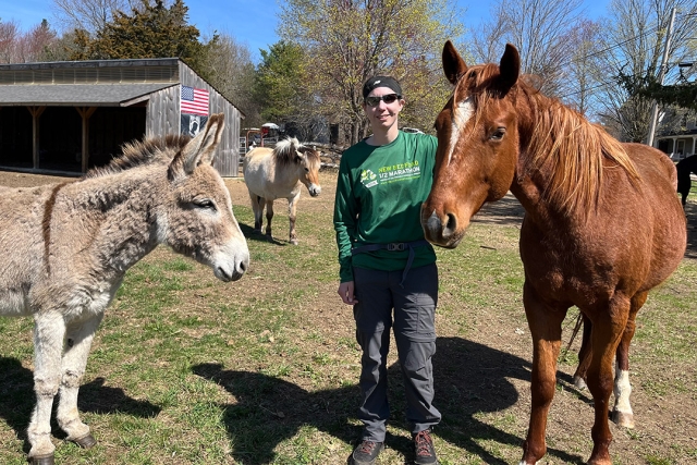 Person standing with a donkey and a horse on a grassy area near a barn.