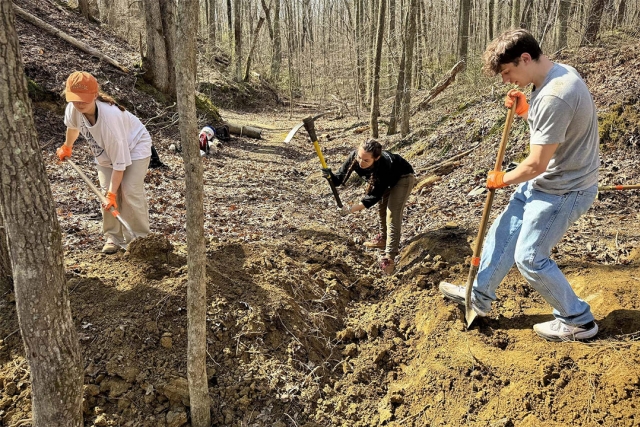 Three people digging in a wooded area, using shovels and a pickaxe.