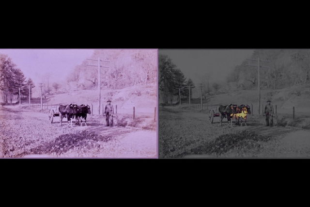 A silver gelatin print is shown in standard illumination on the left and with a yellow mask overlay on the right, highlighting regions affected by silver mirroring. 